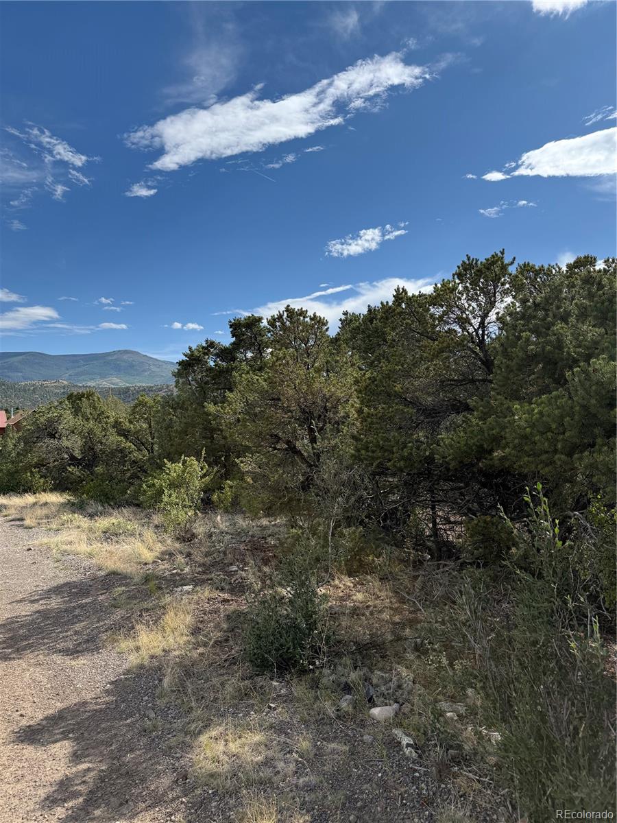 729 Vail Pass Road