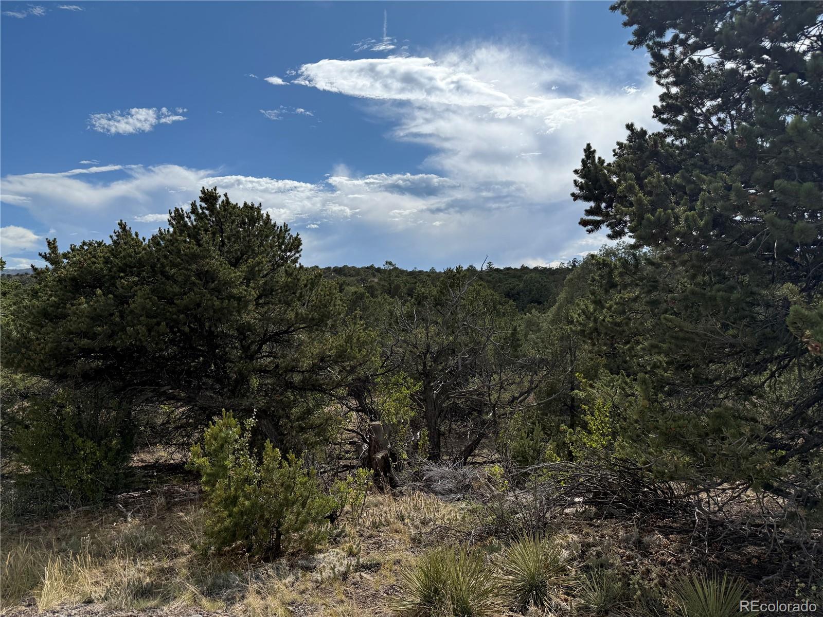 729 Vail Pass Road