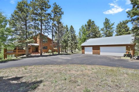 2087 County Road 512, Divide, CO 80814 - #: 3884906