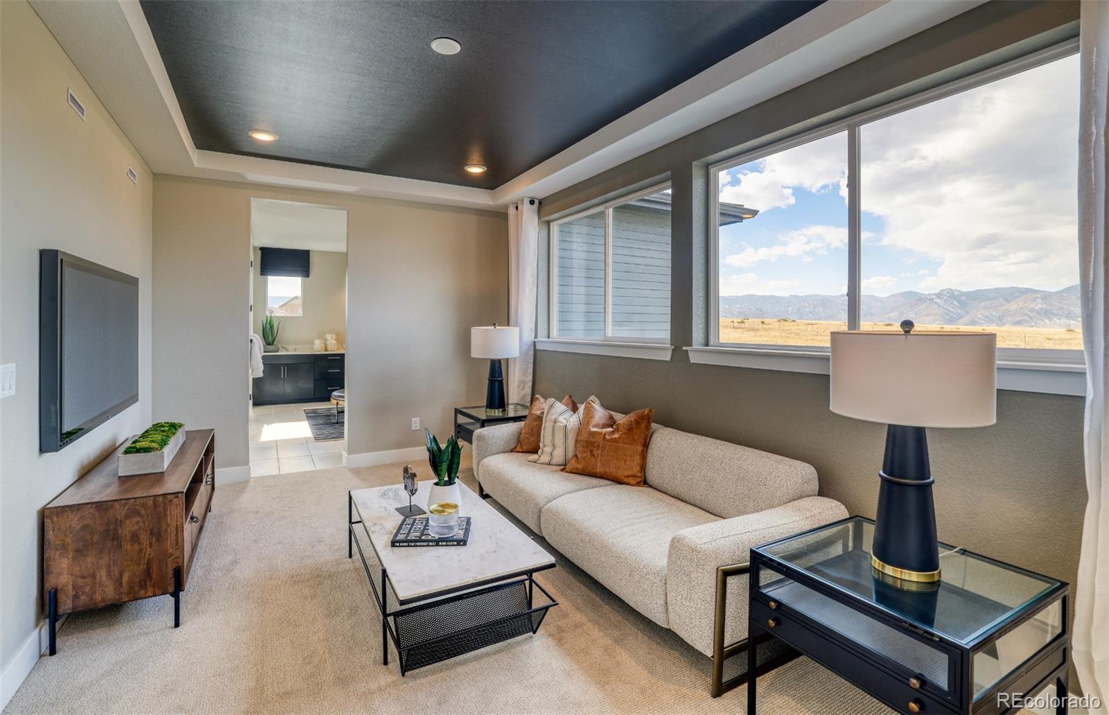 8466 Orchard City Drive, Littleton, CO, 80125 4 8466 Orchard City Drive
