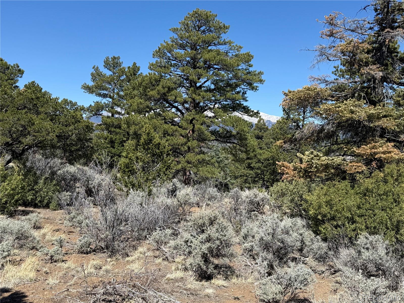 Lot 155 Tahmoush Lane