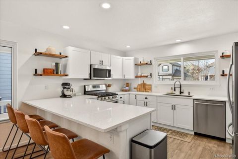 9800 Cheewall Lane Parker CO 80134