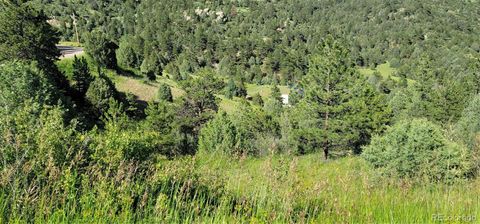 2050 Coyote Spur Golden CO 80403