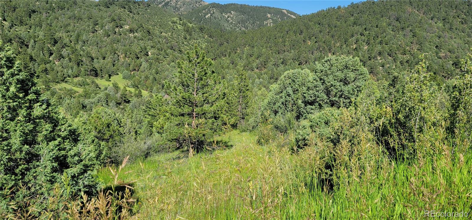 2050 Coyote Spur