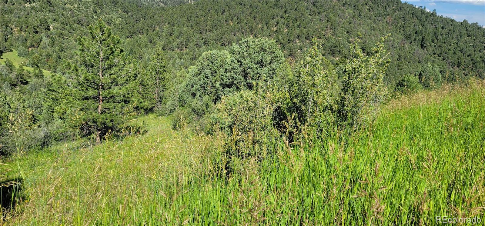 2050 Coyote Spur