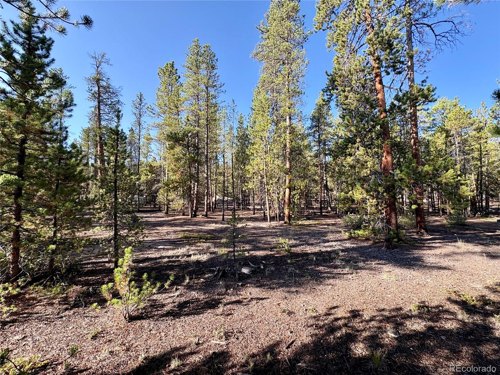TBD-Lot 479 Birch Drive