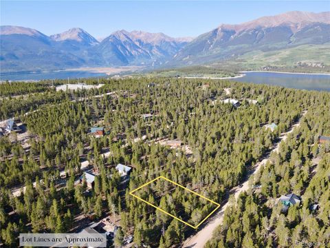 TBD-Lot 479 Birch Drive Twin Lakes CO 80461