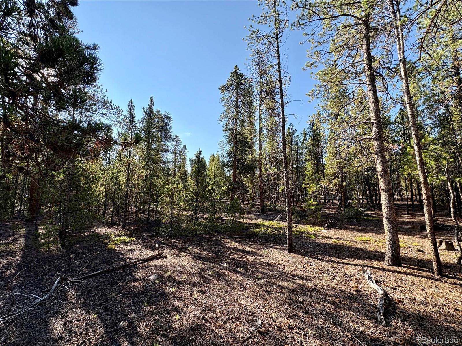 TBD-Lot 479 Birch Drive