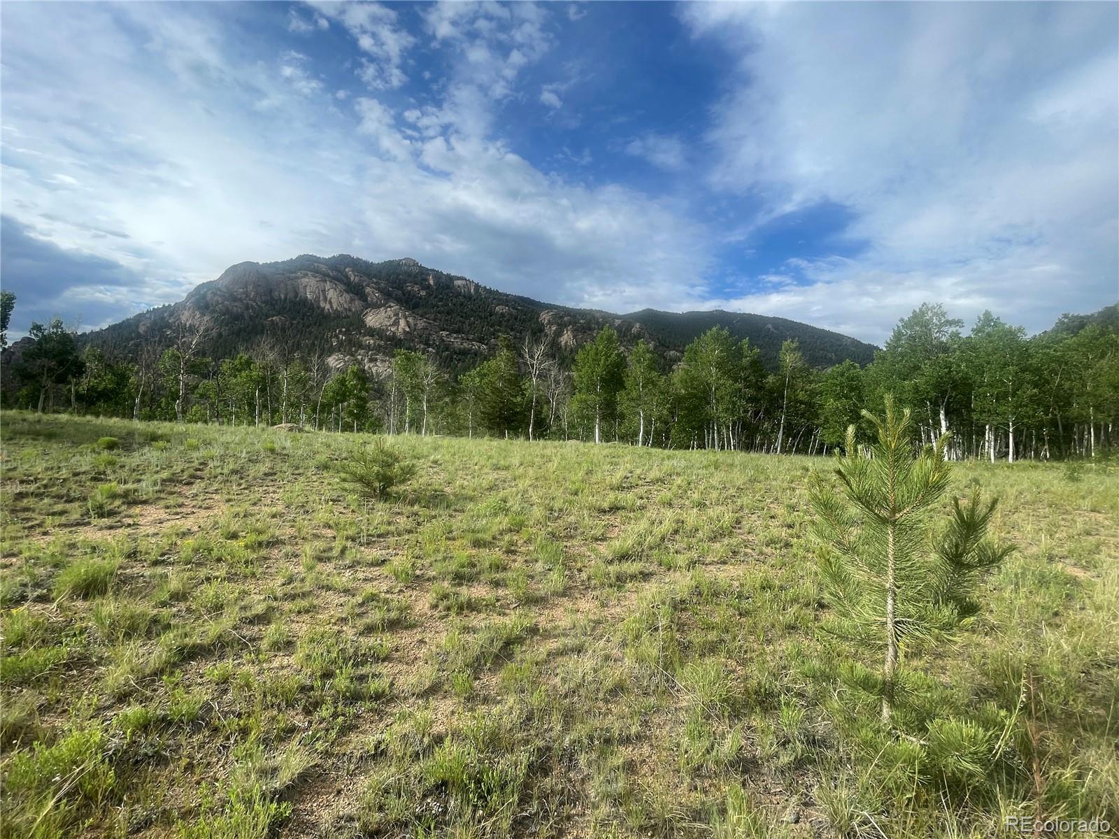 Photo 1 of 8 — 171 Emerald Way, Lake George, CO 80827