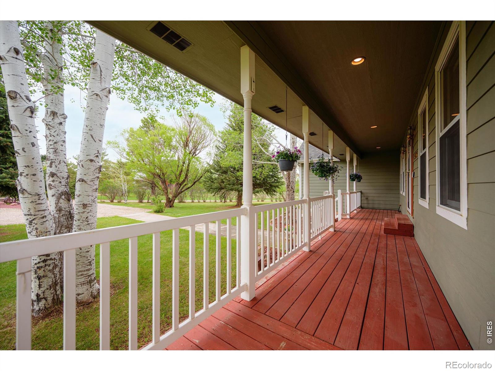 6206 Fox Tail Court