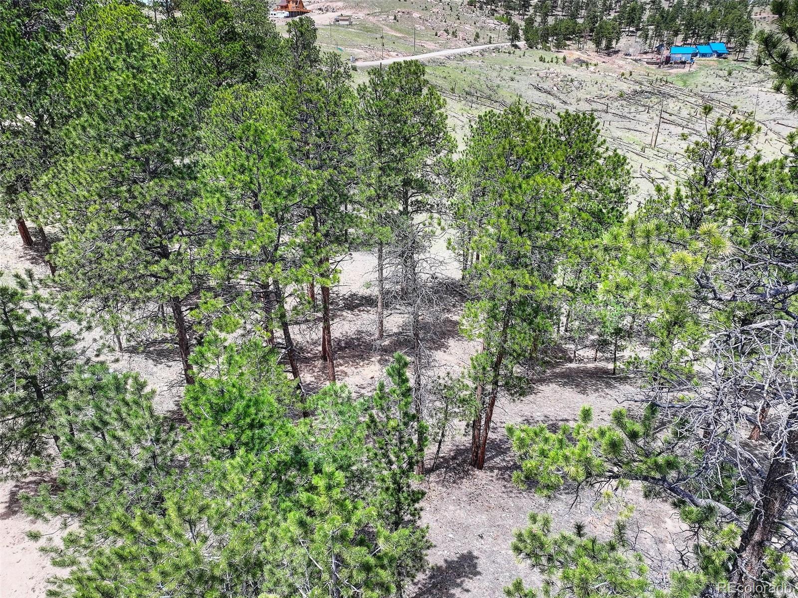 54 Holmes Gulch Road