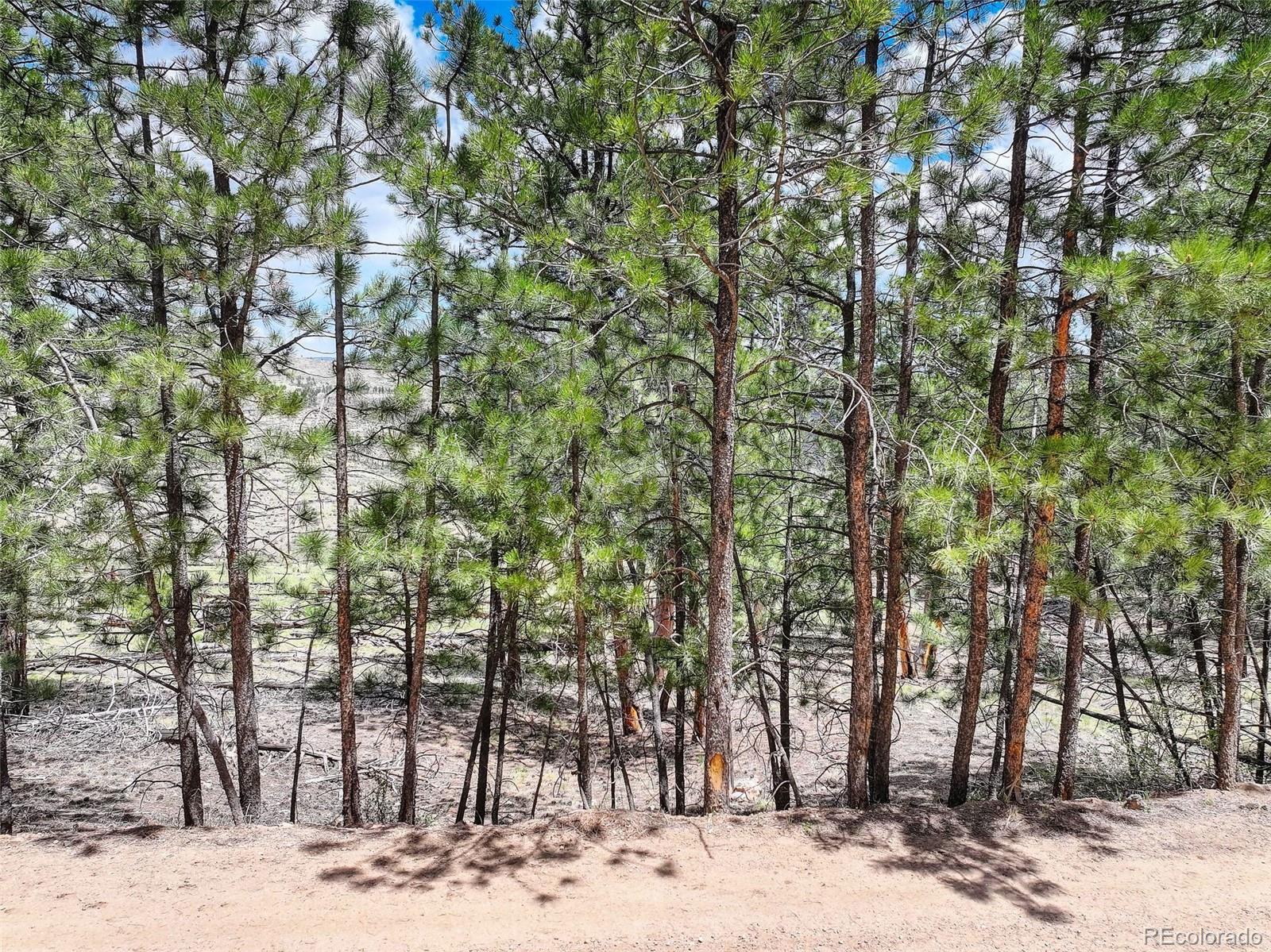 54 Holmes Gulch Road