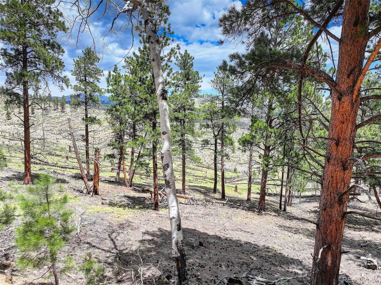 54 Holmes Gulch Road