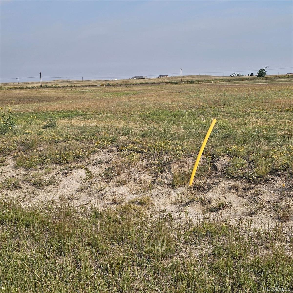 16094 E Mccara Court