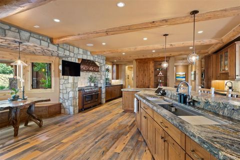 Single Family Residence in Littleton CO 9411 Cougar Road 7.jpg