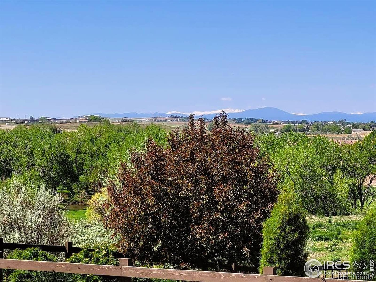 4236 Carroway Seed Court