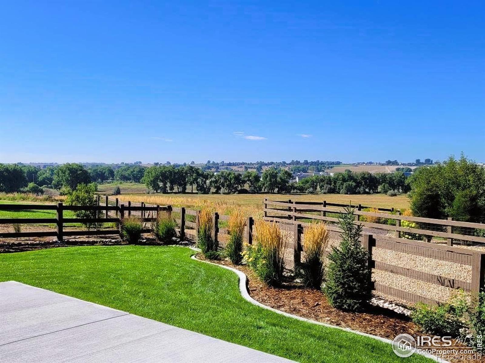 4236 Carroway Seed Court