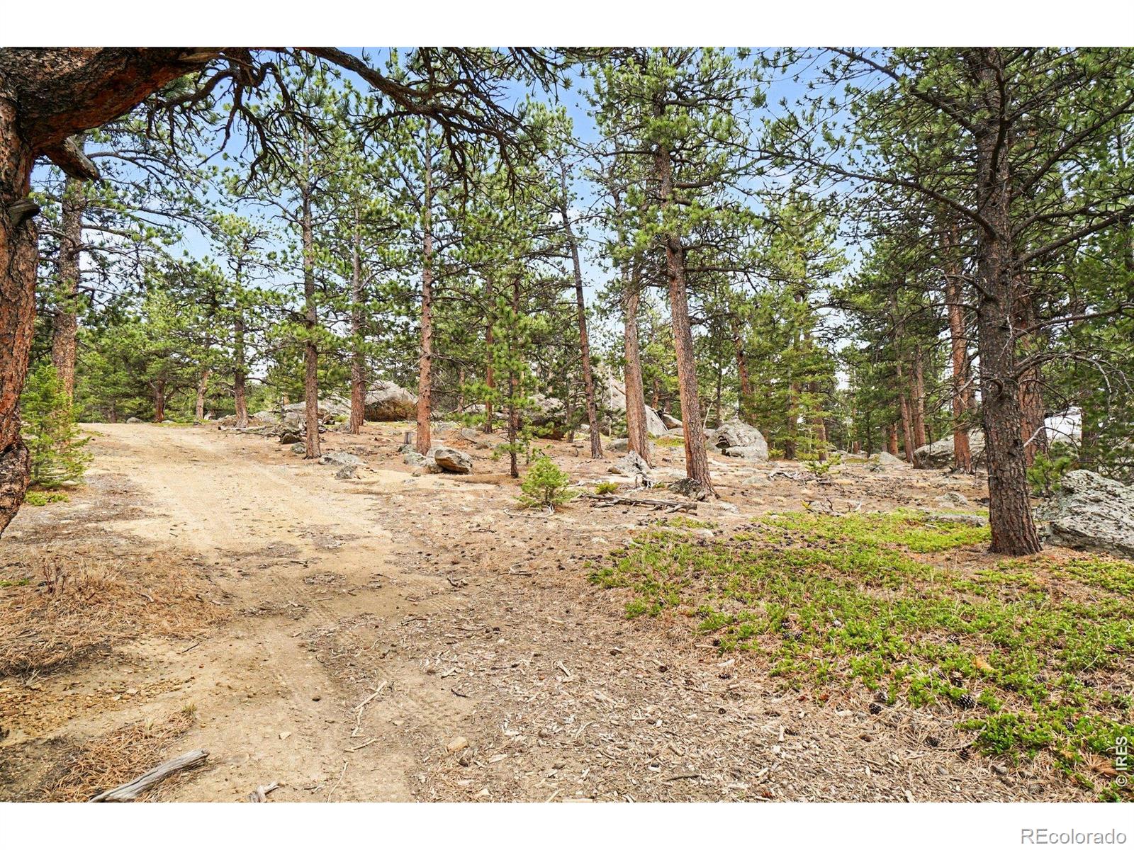12190 Highway 7