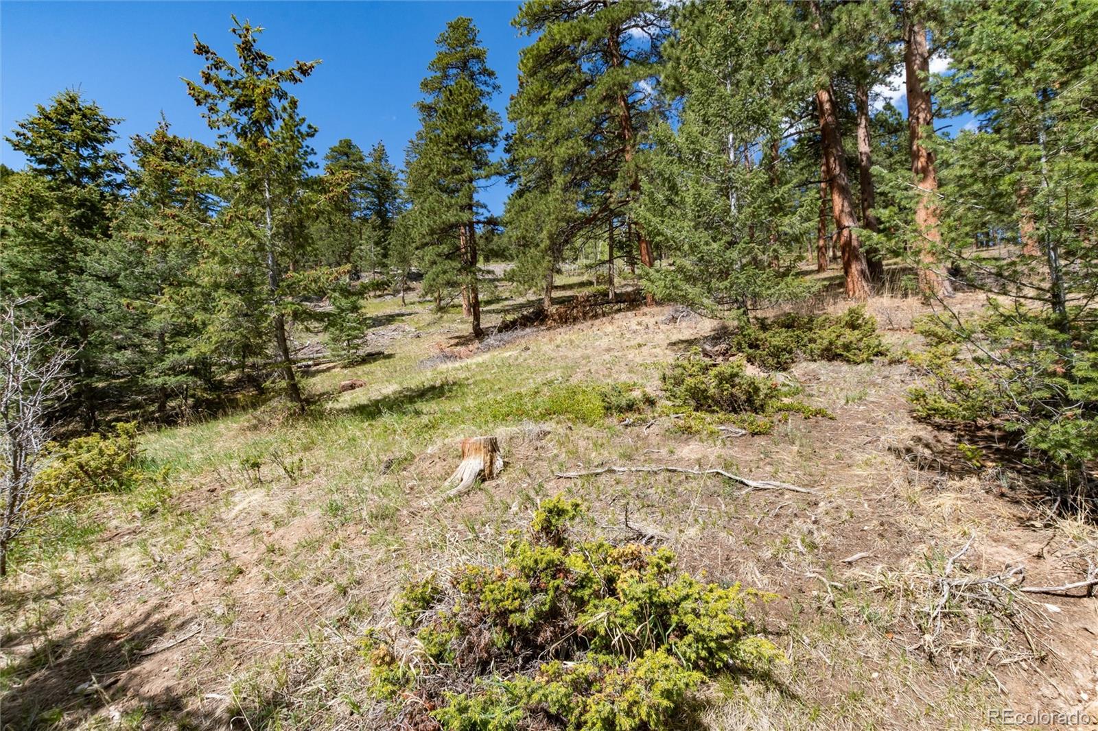 9701 City View Drive
