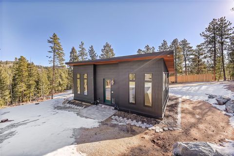148 Ridge Lane Bailey CO 80421