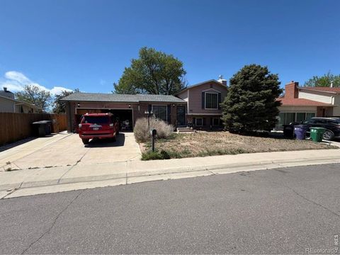 4513 Fairplay Way Denver CO 80239