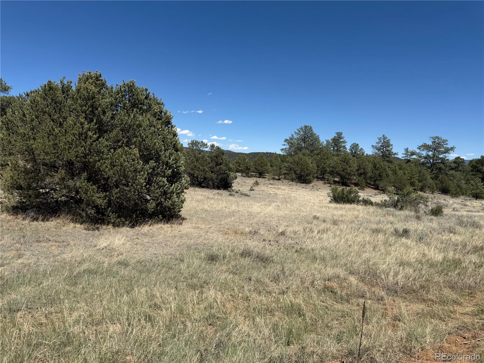 520 W View Road
