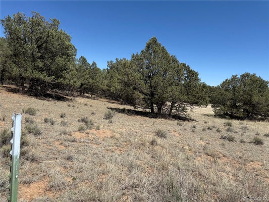 520 W VIEW RD, COTOPAXI, CO 81223 - Image 82fe6b88a5ce2c1da9360d64c1ec3b4b/2175105593