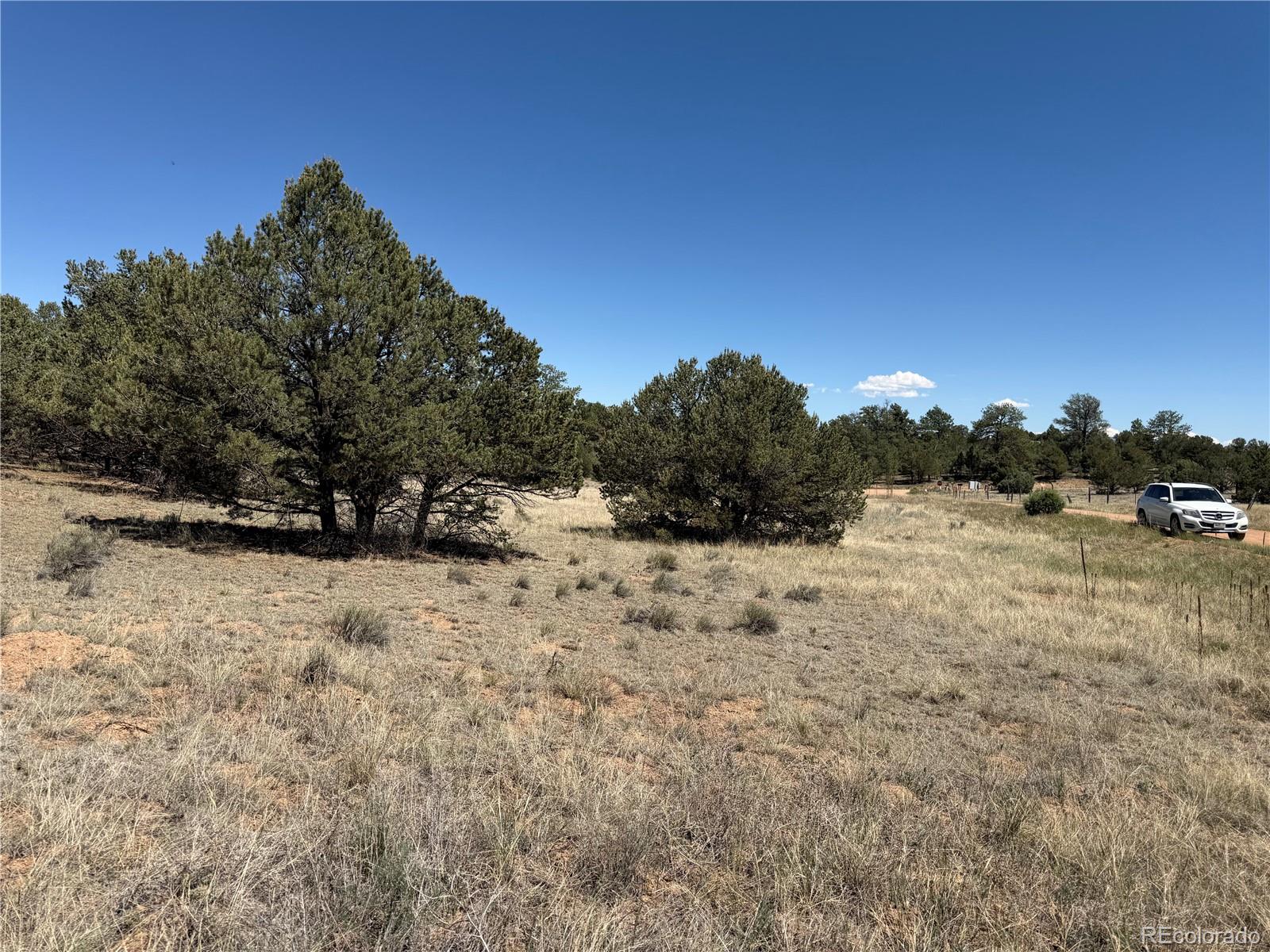 520 W View Road