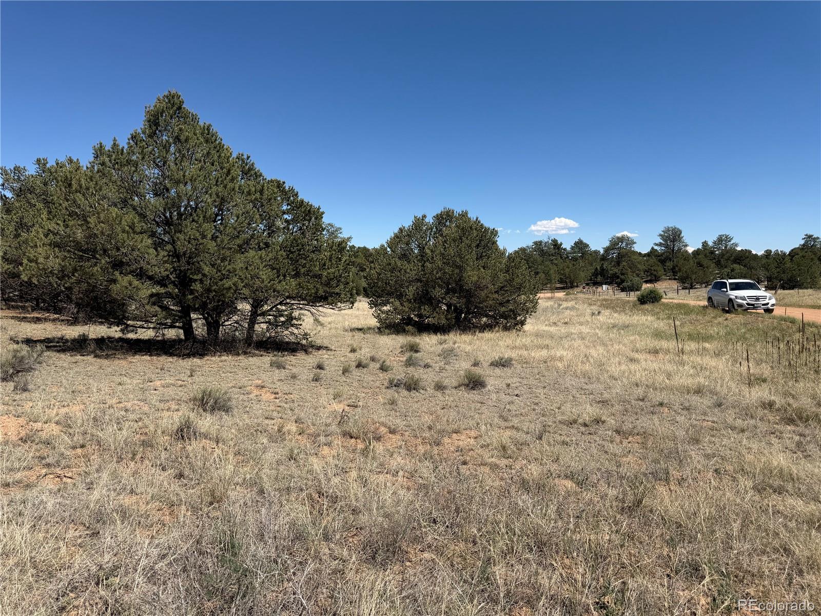 520 W View Road