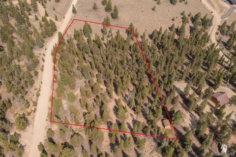 469 EE Hill Drive Twin Lakes CO 81251