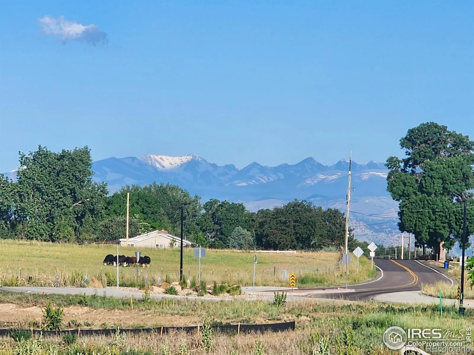 Erie, Colorado 80516, United States, 5 Bedrooms Bedrooms, ,4 BathroomsBathrooms,Residential,Active,85387