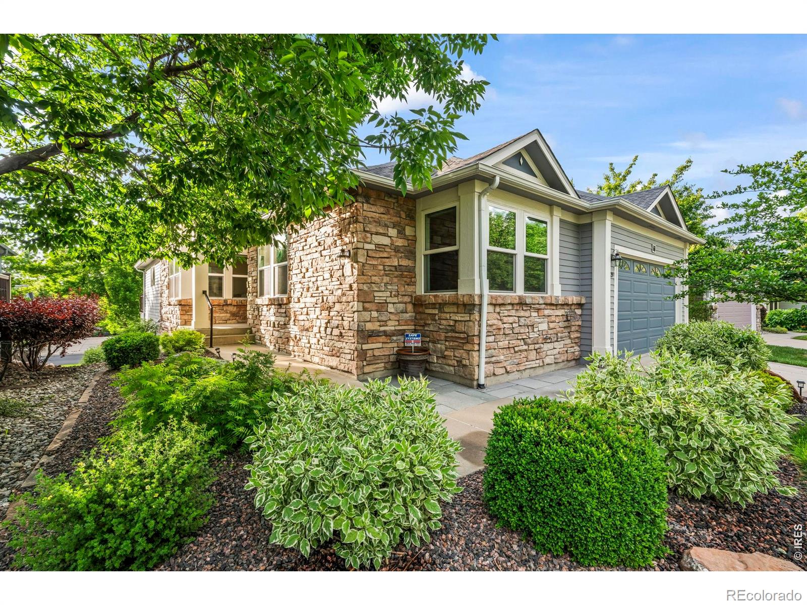 329 Wisteria Way