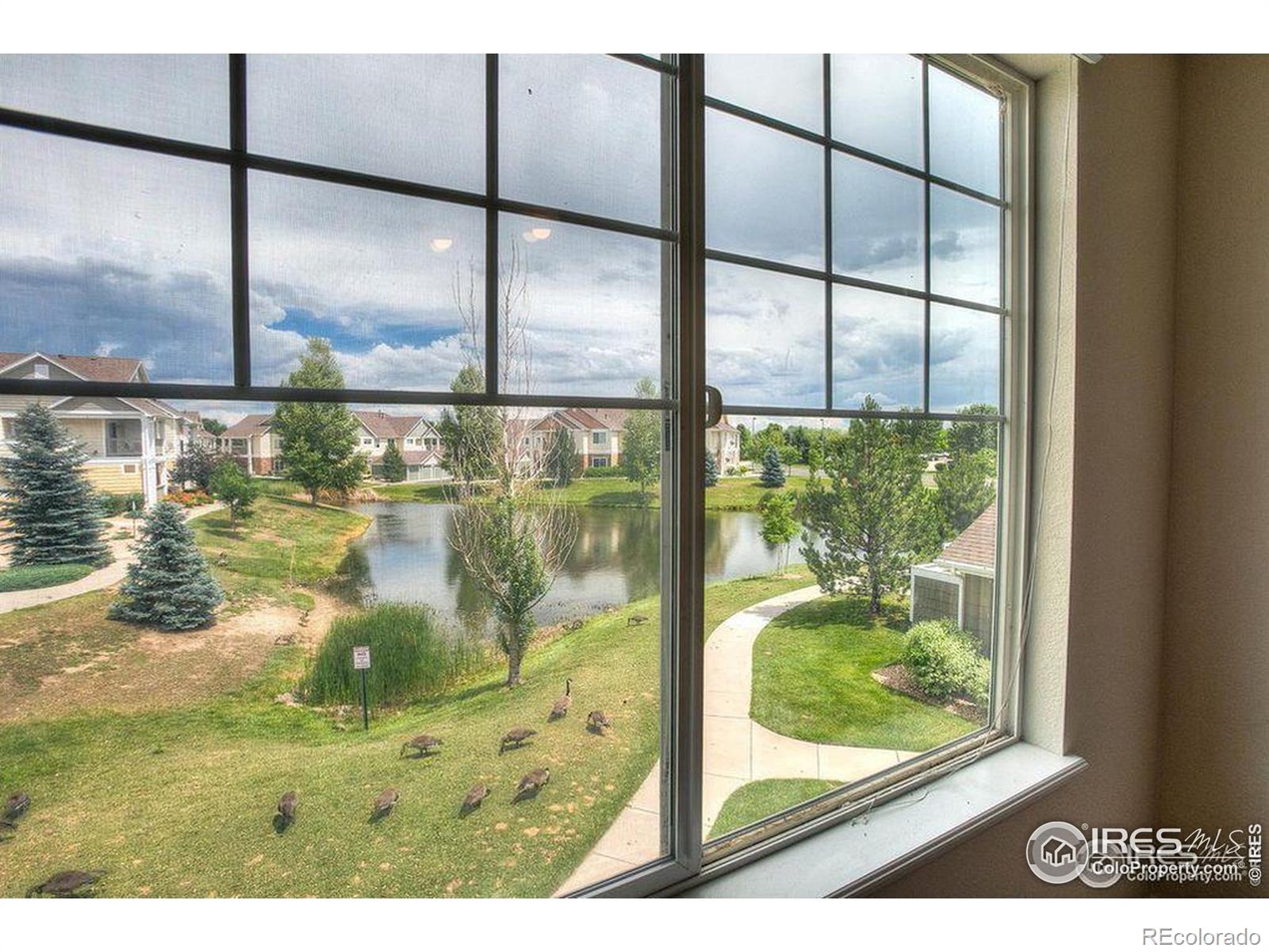 4815 Hahns Peak Drive 204