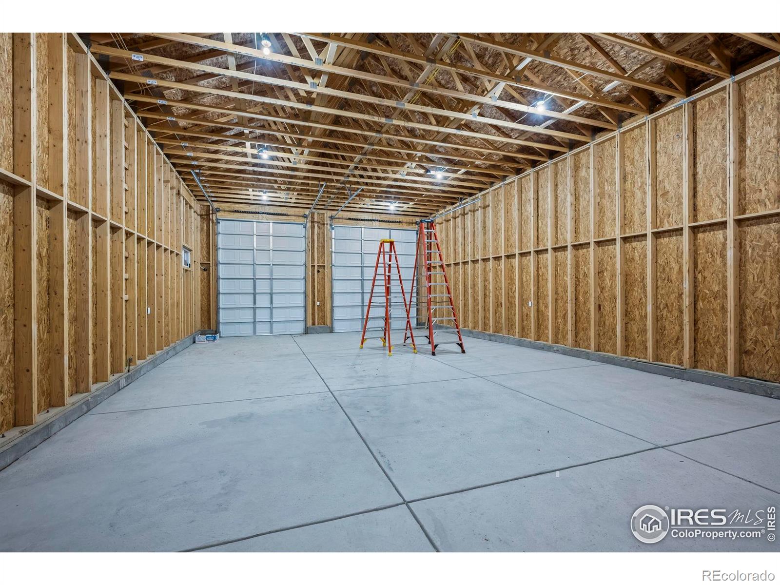 3643 Crested Owl Court