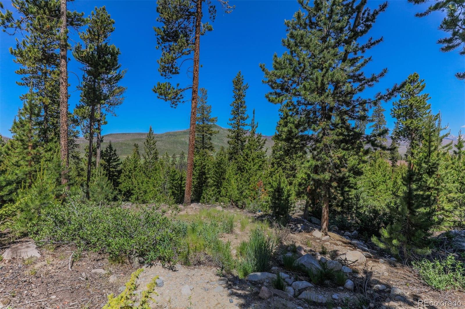 493 County Road 4632