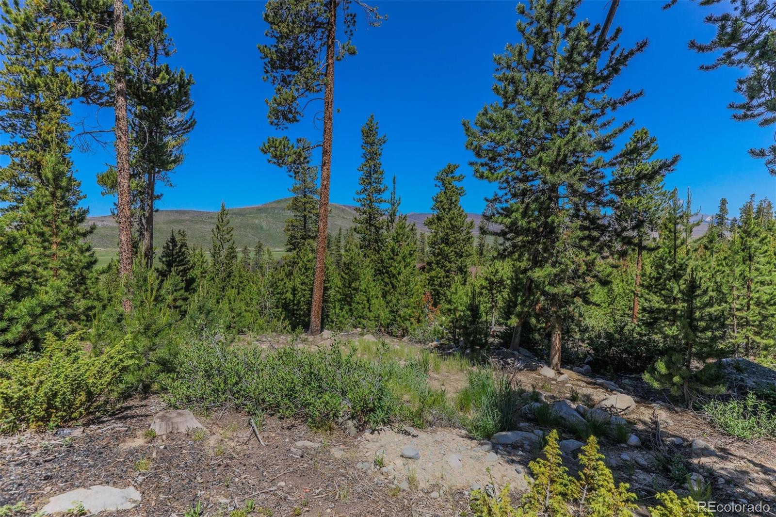 493 County Road 4632