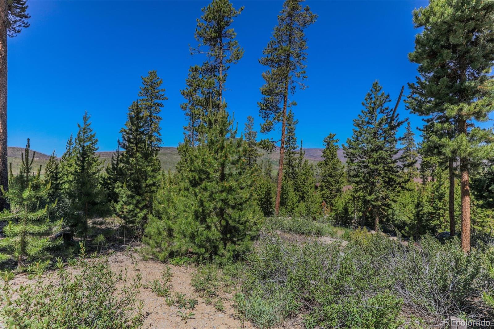 493 County Road 4632