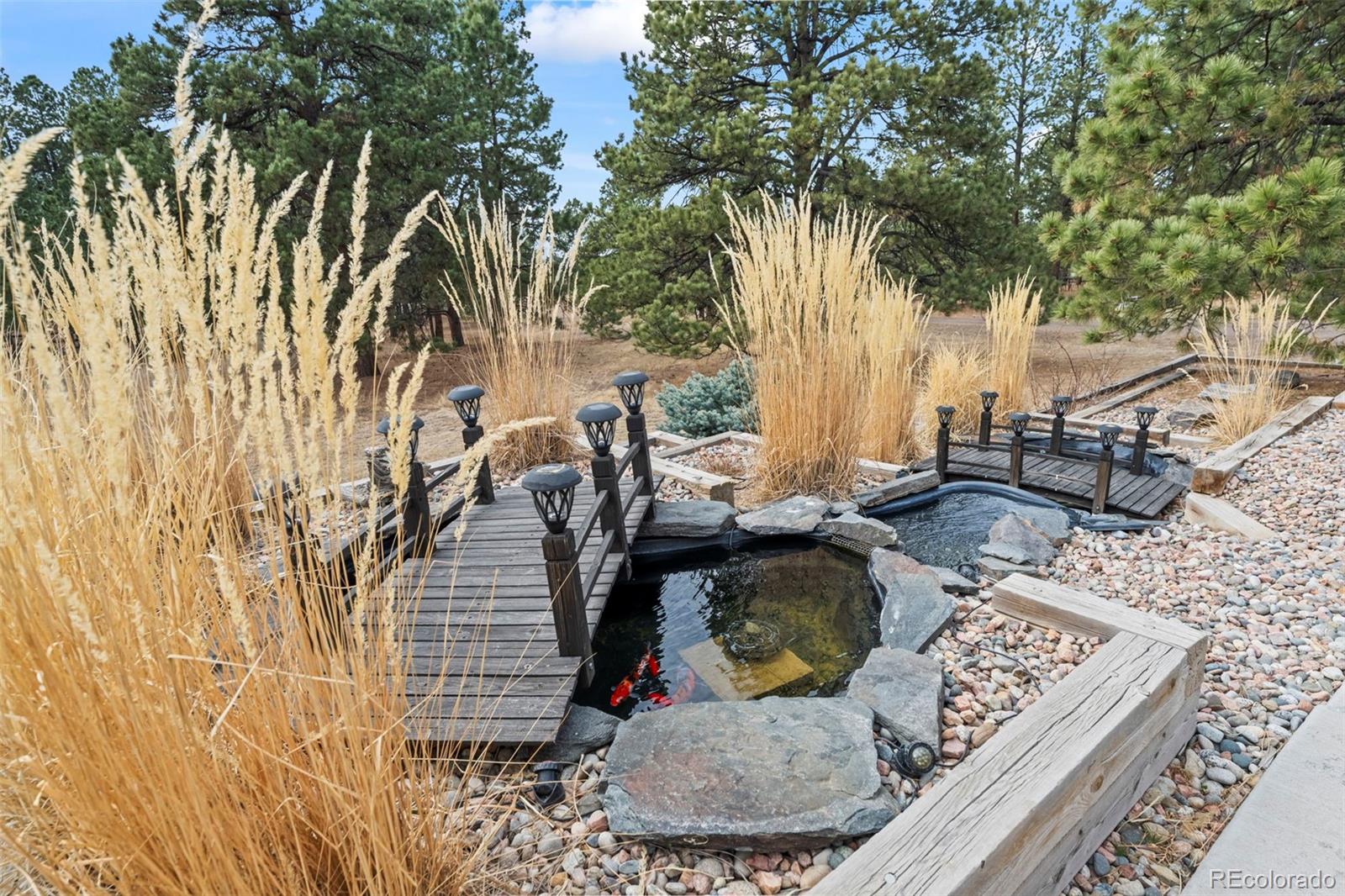 35348 Quick Fox Court