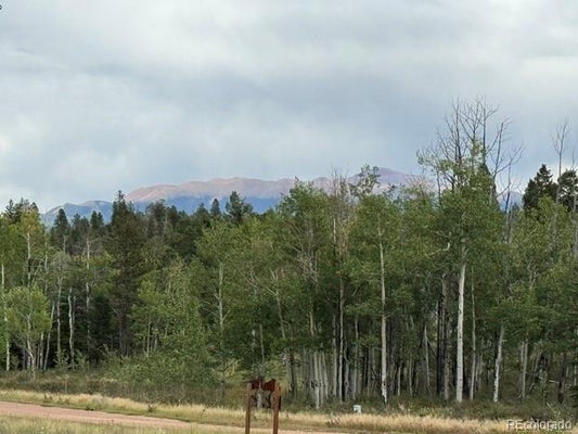 455 ASPEN WAY DR, FLORISSANT, CO 80816 - Image 83ac82777e5b0ef9e2043d2f89f7c440/80966219