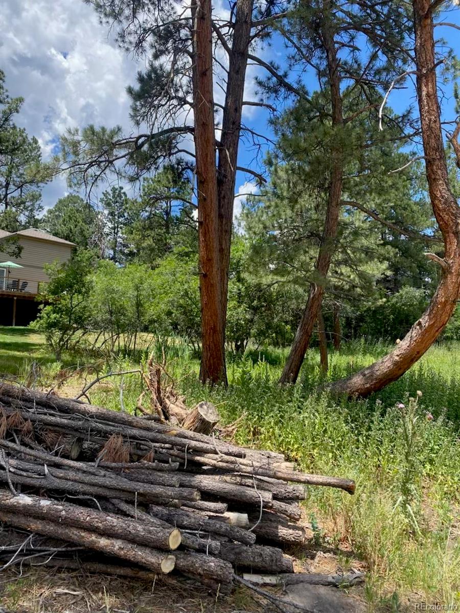 1025 Tenderfoot Drive