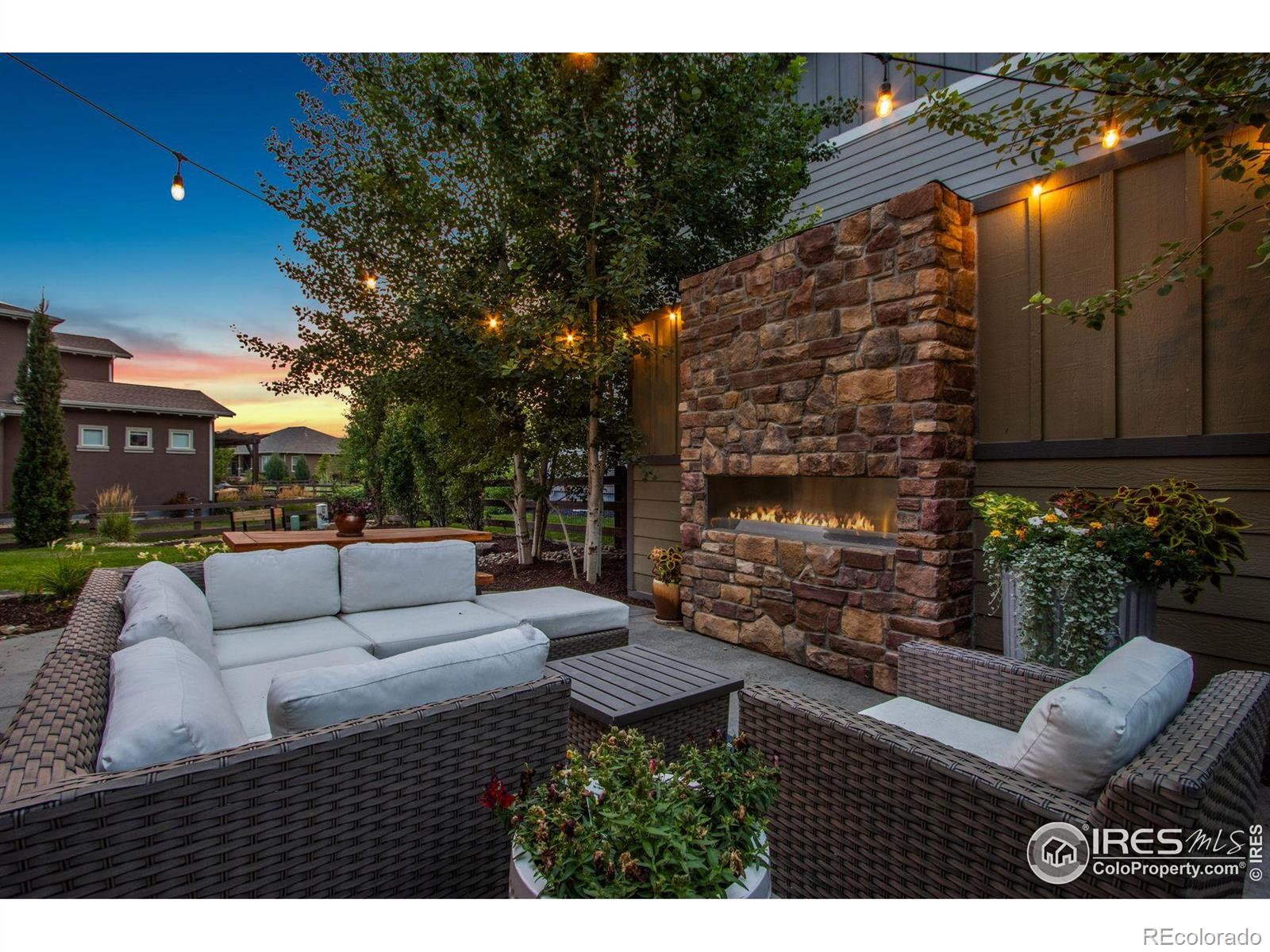 6203 Swainsons Hawk Place