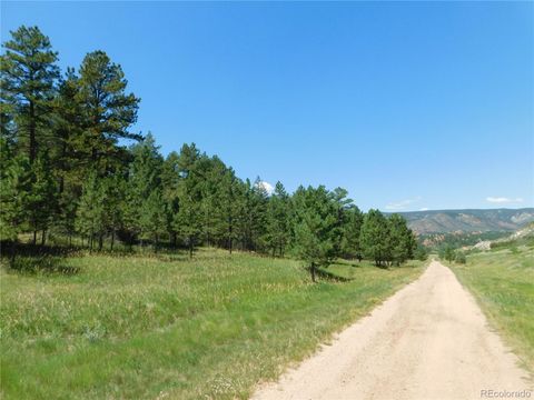 4668 Comanche Drive Larkspur Co 80118