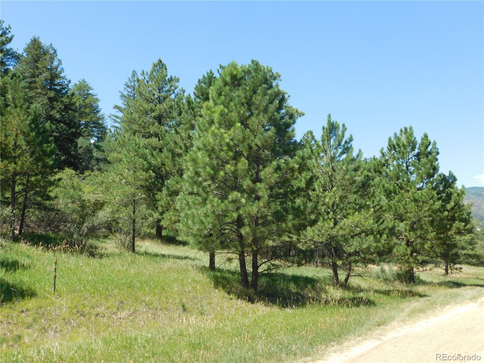 4668 Comanche Drive, Larkspur, CO, 80118 4668 Comanche Drive