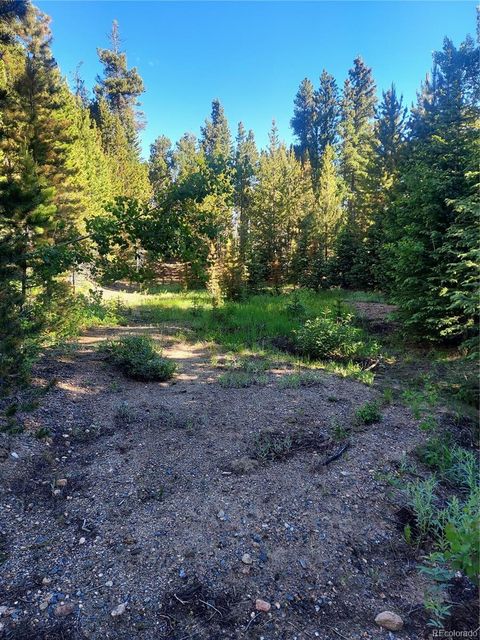LOT 9, 10, & 11 Deer Trail Rd Idaho Springs CO 80452
