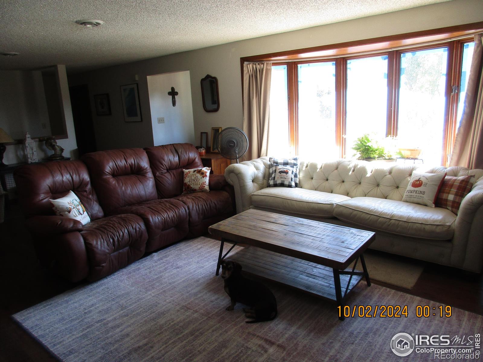 13969 County Road 33
