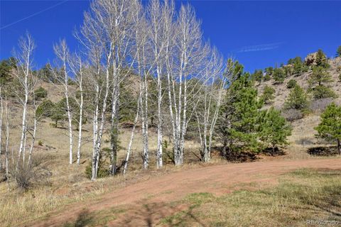 221 Floresta Florissant CO 80816
