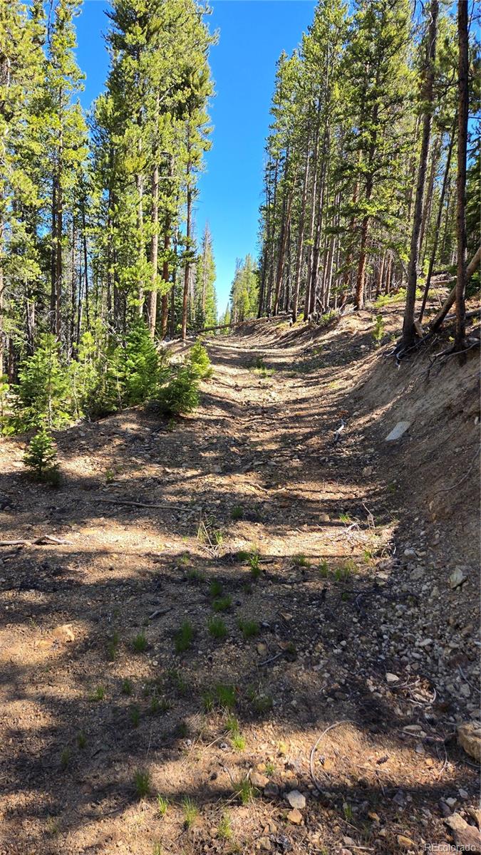 000 Summit Gulch Road