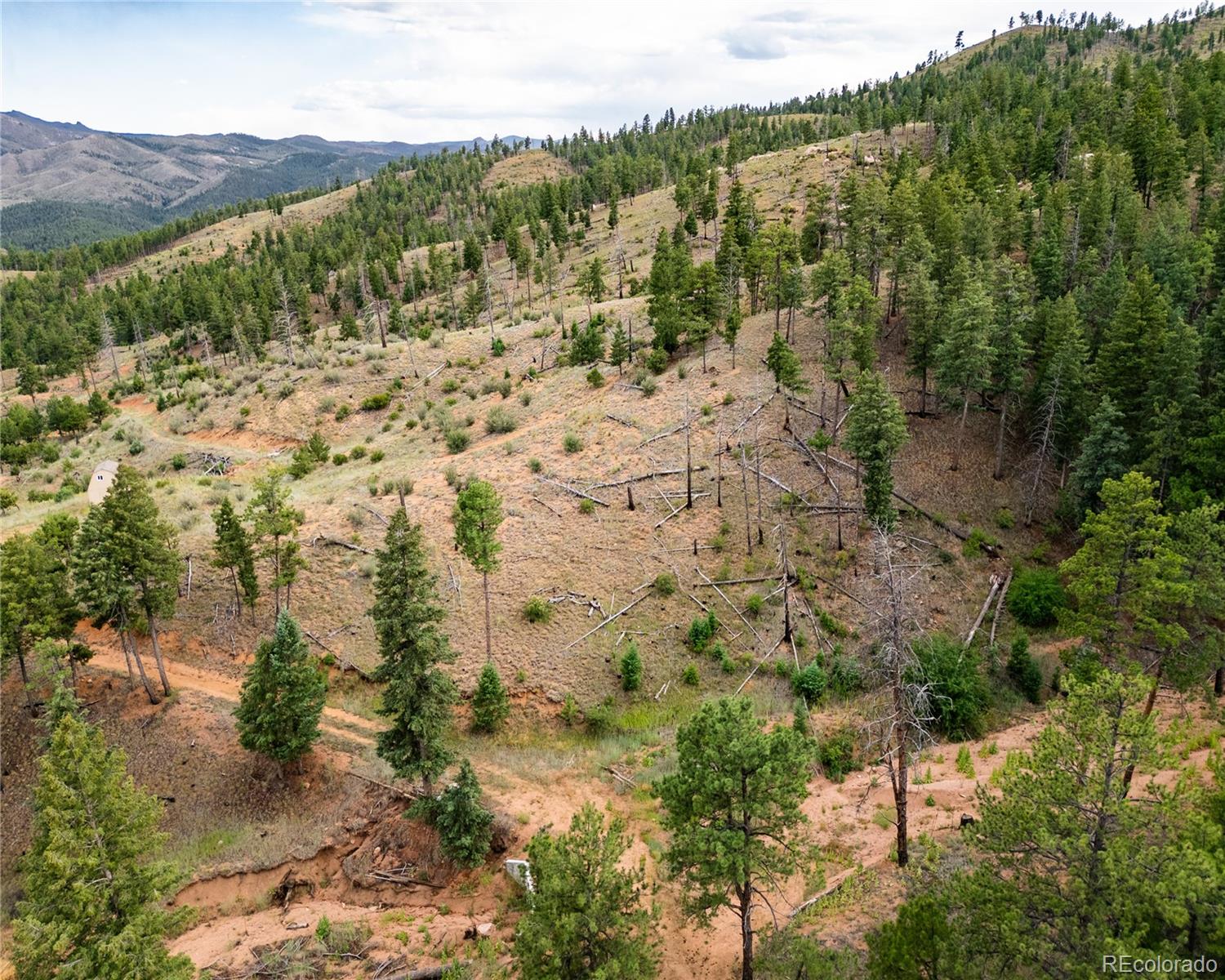 25754 County Road 126