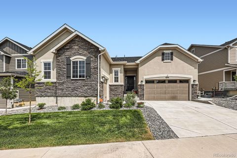 4536 Shady Path Lane Castle Rock CO 80104