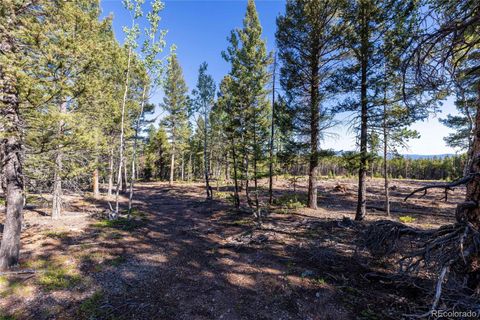 30894 Forest Shadow Trail Conifer CO 80433